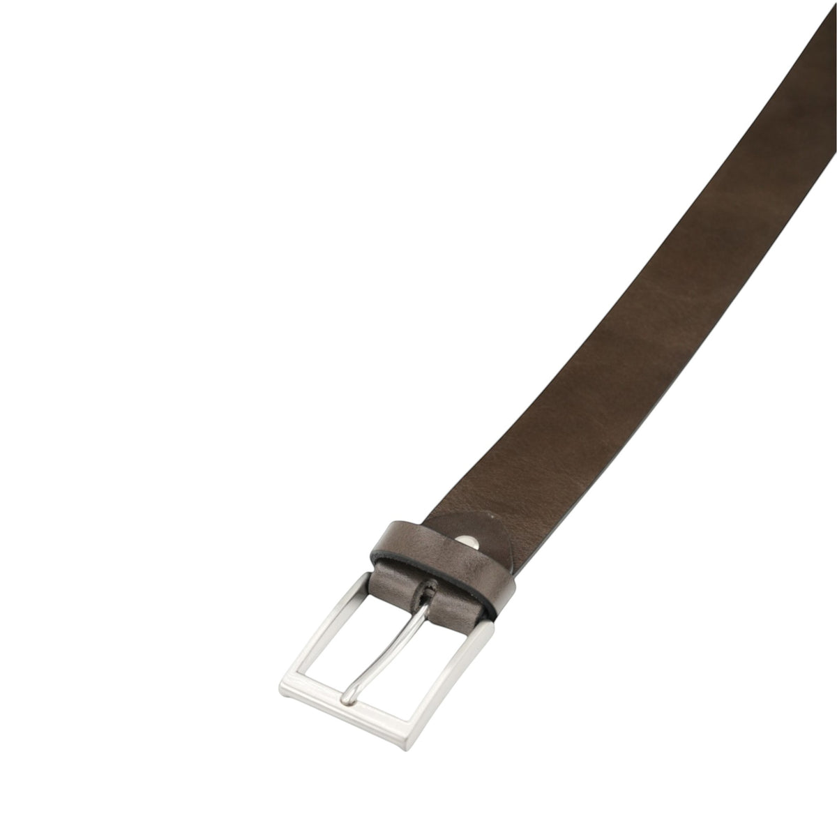 Olive - Brown — buckle
