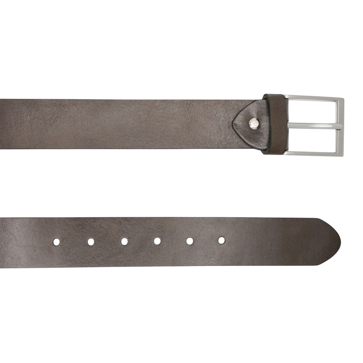 Olive - Brown — flat